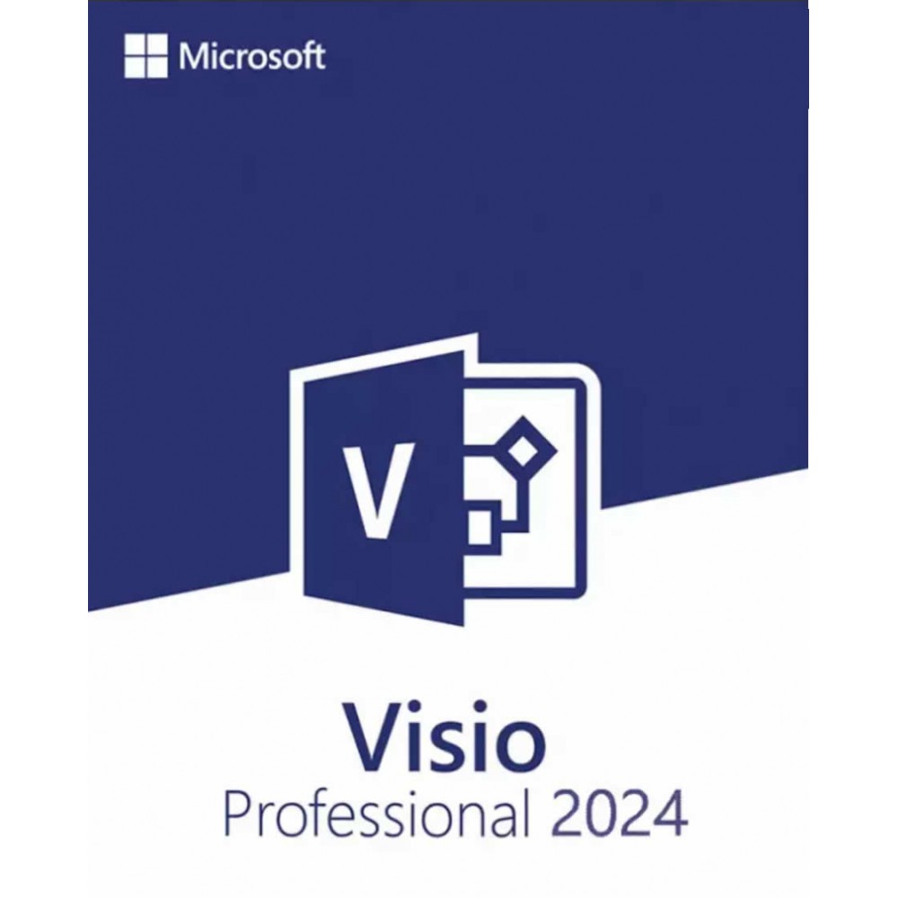 Microsoft Visio Professional 2024 voor Windows - Alle talen