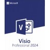 Microsoft Visio Professional 2024 voor Windows - Alle talen