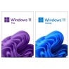 DVD of USB Windows 11 upgrade op niet geschikte computers