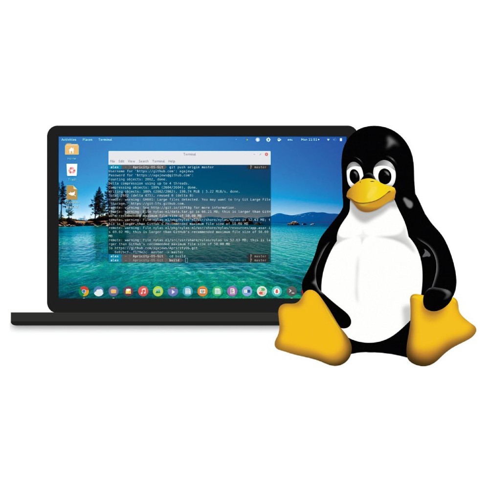 24 Populaire Linux Distributies als gratis download of voor € 29,95 op USB Flash drive