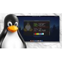 24 Populaire Linux Distributies als gratis download of voor € 29,95 op USB Flash drive