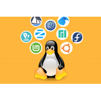24 Populaire Linux Distributies als gratis download of voor € 29,95 op USB Flash drive
