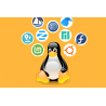 24 Populaire Linux Distributies als gratis download of voor € 29,95 op USB Flash drive
