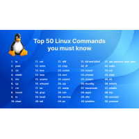 24 Populaire Linux Distributies als gratis download of voor € 29,95 op USB Flash drive