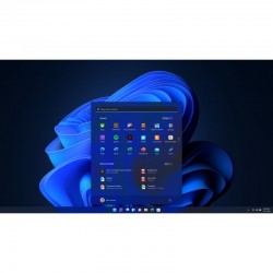 Microsoft Windows 10 Professional OEM 32 en 64 bits