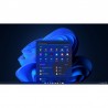 Windows 11 upgrade op niet geschikte computers
