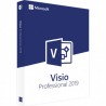 Microsoft Visio Professional 2019 voor Office 365 - alle talen