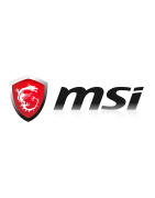 MSi
